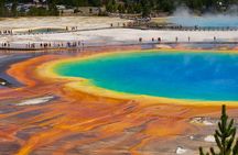 Yellowstone: Private Guided Tour