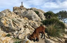 Hiking on Alcudia Peninsula
