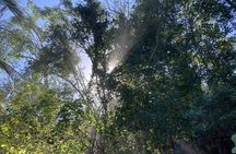 Boat Excursion and Hiking Walk in Quimixto