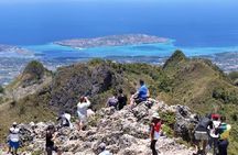Cebu Hiking adventure in Osmena Peak 
