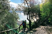 Eco Hiking and Wine Tasting in Cinque Terre
