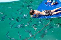 Small boat rental in cabo - Yamaha 28ft.