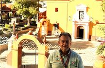 Tour of the Tradition and History of Cheese and Wine in Querétaro