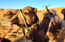 Overnight Experience from Merzouga in Dunes of Erg Chebbi
