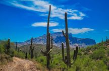 Offroad Sonoran Desert Adventure and Sunset 