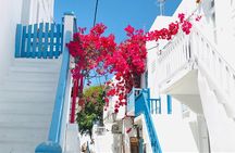 Private Tour: All The Highlights Of Mykonos You Have To See
