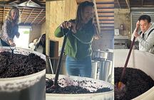 Chefs Private Martinborough Wine Tour with lunch from Wellington