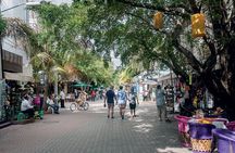 4x1 tour:Tulum/Coba,Cenote,Mayan Village& 5th Av Playa del Carmen