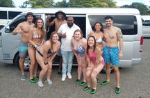  Dunn's River Falls and Ocho Rios Sightseeing with Shopping