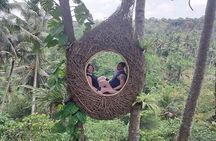  Full Day Private Tour from Tegenungan Waterfall to Tanah Lot