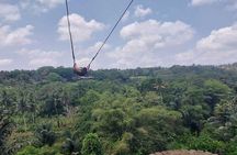  Full Day Private Tour from Tegenungan Waterfall to Tanah Lot