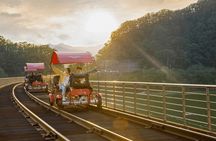 Alpaca World with Gangchon Rail Park One Day Tour