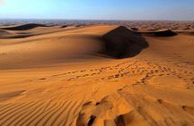 Dubai: Desert Safari, Quad Bike, Camel Ride with VIP Majlis 