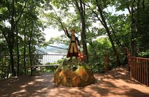 Nami Island, Petite France & Italian Village Day Tour from Seoul