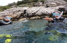 Snorkeling Boat Excursions in Nea Makri, Athens