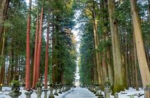 From Tokyo to Mount Fuji! Private Car Tour by Eng Speaking Driver