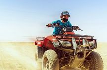 Quad Safari & Camel Ride in Sharm El-Shaikh 