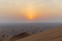 Evening Desert Safari & camel ride – Without Camp Experience