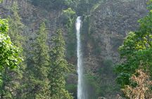 Private Ngorongoro Elephant Caves Hike and Waterfall Day Trip