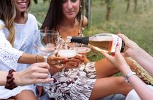 E-Bike Tour with Wine Tasting from Salò