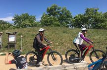 E-Bike Tour with Wine Tasting from Salò