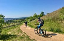 E-Bike Tour with Wine Tasting from Salò