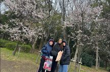 Kobe Guided Tour Including Port Area and Arima Onsen Town