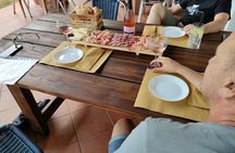 Tasting of 4 Valtenesi wines with local food in Salò