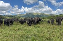 One Day Akagera National Park Safari From Kigali