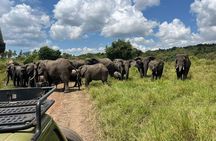 One Day Akagera National Park Safari From Kigali