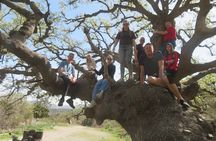 Off-road Buggy Safari in Crete with a Guide
