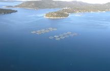 Boat trip from Biograd na Moru to Kornati National Park
