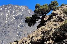 Summiting the Beautiful Atlas Mountains, Day Hike & Trek