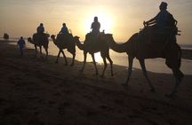 Essaouira: 1 Hour Dromedary + 2 Hours Quad