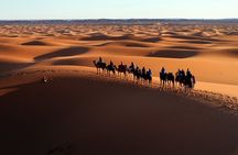 Merzouga Desert tour: Camel Ride, Quad bike, 4x4 Tour & Camp Stay