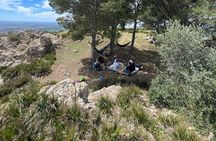 Mount Zalagh : Fès Hiking Picnic