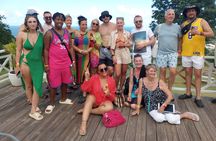  Dunn's River Falls and Ocho Rios Sightseeing with Shopping
