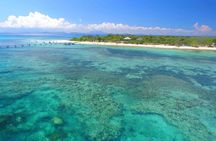 Full Day Nouméa Signal Island Turtle Tour 