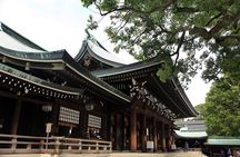 4 Days Tour in Tokyo, Mt. Fuji, Hakone, Yokohama and Kamakura