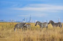 Private Overnight Maasai Mara Safari Tour from Nairobi