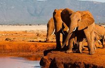 Private Overnight Maasai Mara Safari Tour from Nairobi