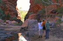 Simpsons Gap Sunset: Watercolour Painting Class