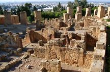 Bardo Museum with Medina, Carthage and Sidi Bou Private Tour