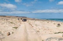 Full Day South to Southwest Exploration in Boa Vista Island