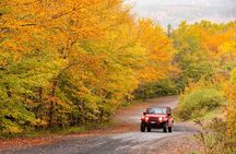 Cape Breton Fall Colours Tour On and Off Road