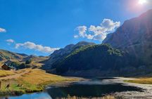 Private Full Day Safari Tour