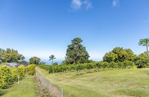 Private Kona Coffee and National Historic Parks Tour
