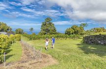 Private Kona Coffee and National Historic Parks Tour