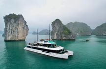 Best Selling Catamaran Cruise Premium Day Trip Explore Halong Bay