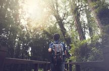 Exclusive 3-Day Sun Moon Lake & Alishan Private Tour